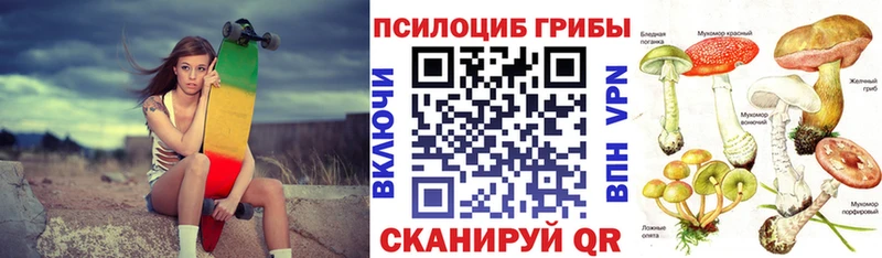 где найти наркотики  гидра рабочий сайт  Галлюциногенные грибы Magic Shrooms  Екатеринбург 